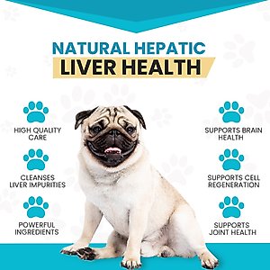 Wanderfound Pets SAMe 100 Liver Support for Dogs, 60 count