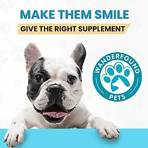 Wanderfound Pets SAMe 100 Liver Support for Dogs, 60 count
