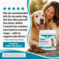 Wanderfound Pets SAMe 100 Liver Support for Dogs, 60 count slide 2 of 7