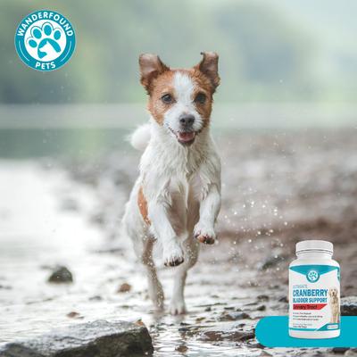 Show full view: Wanderfound Pets Ultimate Cranberry Bladder & Urinary Tract Support Dog Supplement, 90 count slide 6 of 10