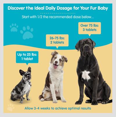 Show full view: Wanderfound Pets Ultimate Cranberry Bladder & Urinary Tract Support Dog Supplement, 90 count slide 7 of 10