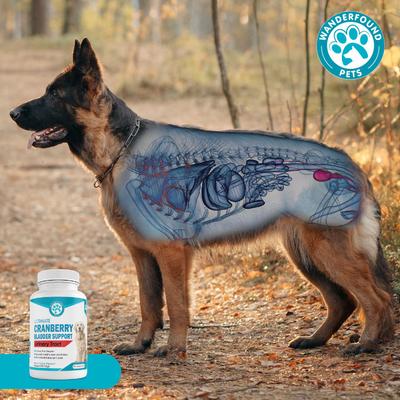 Show full view: Wanderfound Pets Ultimate Cranberry Bladder & Urinary Tract Support Dog Supplement, 90 count slide 8 of 10