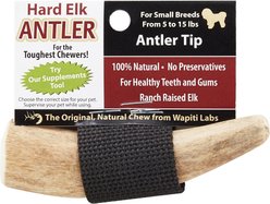 Wapiti Labs Elk Antler Tips Dog Chews, Antler Tip