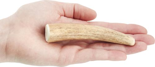 Show full view: Wapiti Labs Elk Antler Tips Dog Chews, Antler Tip slide 5 of 9