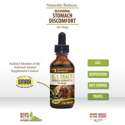 Show full view: Wapiti Labs G.I. Tract Liquid Digestive Supplement for Dogs, 2-fl oz bottle slide 4 of 11