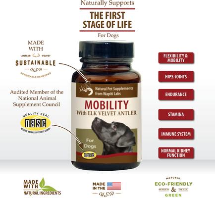 Show full view: Wapiti Labs Mobility Formula Dog Powder Supplement, 0.53-oz bottle slide 4 of 11