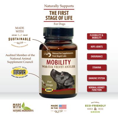 Show full view: Wapiti Labs Mobility Formula Dog Tablets Supplement, 120 tablet slide 5 of 11