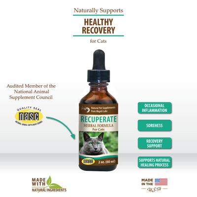 Show full view: Wapiti Labs Recuperate Formula for Healthy Recovery Cat Supplement, 2-fl oz bottle slide 4 of 10