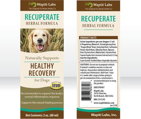 Show full view: Wapiti Labs Recuperate Formula for Healthy Recovery Dog Supplement, 2-fl oz bottle slide 3 of 10