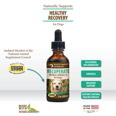 Show full view: Wapiti Labs Recuperate Formula for Healthy Recovery Dog Supplement, 2-fl oz bottle slide 4 of 10