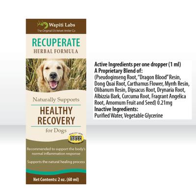 Show full view: Wapiti Labs Recuperate Formula for Healthy Recovery Dog Supplement, 2-fl oz bottle slide 5 of 10