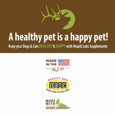 Show full view: Wapiti Labs Recuperate Formula for Healthy Recovery Dog Supplement, 2-fl oz bottle slide 8 of 10