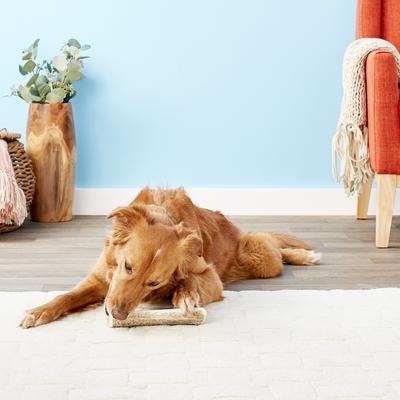 Show full view: Wapiti Labs Split Elk Antlers Dog Chews, Large/X-large slide 4 of 8