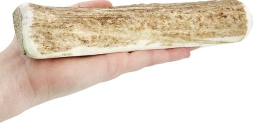 Show full view: Wapiti Labs Split Elk Antlers Dog Chews, Large/X-large slide 5 of 8