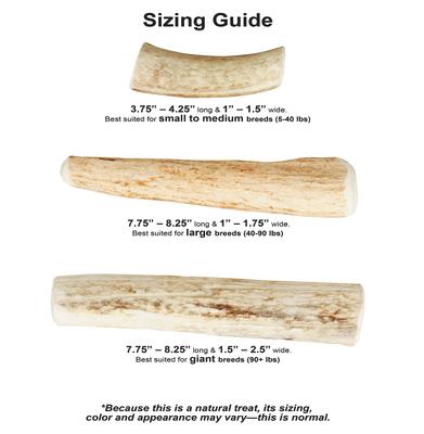 Show full view: Wapiti Labs Split Elk Antlers Dog Chews, Large/X-large slide 6 of 8