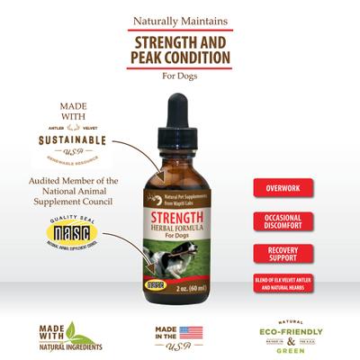 Show full view: Wapiti Labs Strength Formula for Peak Condition Dog Supplement, 2-fl oz bottle slide 4 of 10