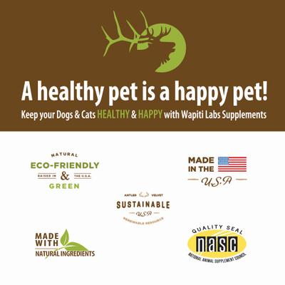 Show full view: Wapiti Labs Strength Formula for Peak Condition Dog Supplement, 2-fl oz bottle slide 8 of 10