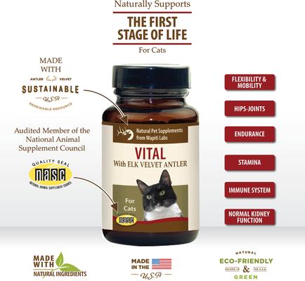 Show full view: Wapiti Labs Vital Formula Cat Supplement, 0.53-oz bottle slide 4 of 11