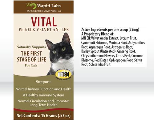 Show full view: Wapiti Labs Vital Formula Cat Supplement, 0.53-oz bottle slide 5 of 11