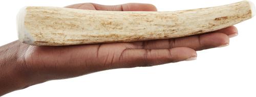 Show full view: Wapiti Labs Whole Elk Antlers Dog Chews, Large/X-large slide 5 of 9
