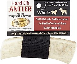 Wapiti Labs Whole Elk Antlers Dog Chews, Small-Medium