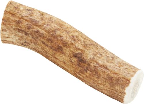 Show full view: Wapiti Labs Whole Elk Antlers Dog Chews, Small-Medium slide 4 of 10