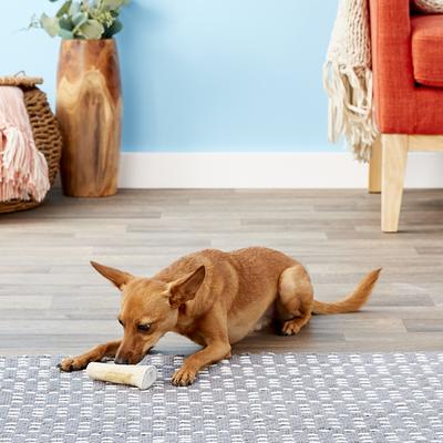 Show full view: Wapiti Labs Whole Elk Antlers Dog Chews, Small-Medium slide 5 of 10