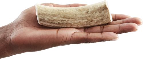 Show full view: Wapiti Labs Whole Elk Antlers Dog Chews, Small-Medium slide 6 of 10