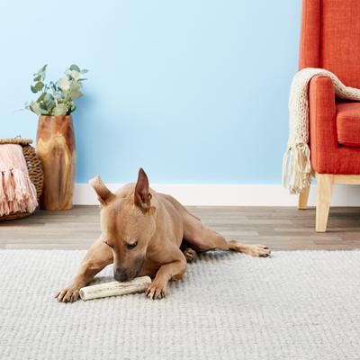 Show full view: Wapiti Labs Whole Elk Antlers Dog Chews, X-large/Giant slide 4 of 10