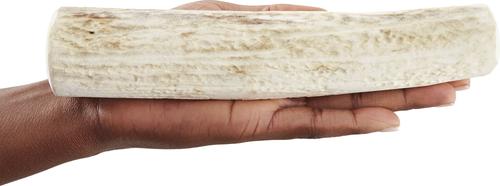 Show full view: Wapiti Labs Whole Elk Antlers Dog Chews, X-large/Giant slide 5 of 10