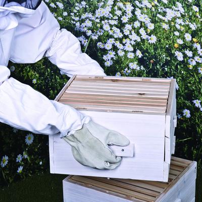 Show full view: Ware Beekeeping Attire Set, Small slide 2 of 9