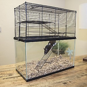 Ware Chew Proof Small Animal High Rise