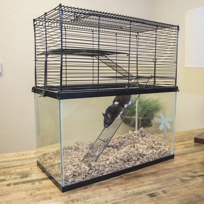 Show full view: Ware Chew Proof Small Animal High Rise slide 4 of 5