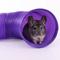 Show in main carousel: Ware Fun Tunnel Play Tube Small Animal Toy, Large slide 4 of 8
