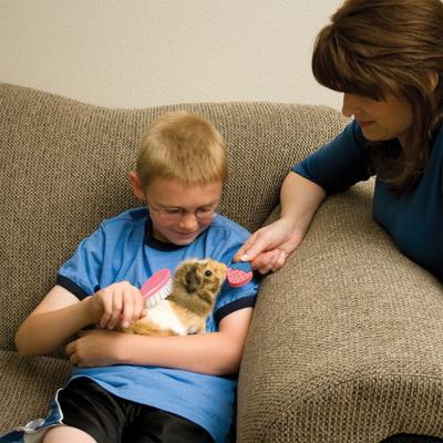 Show full view: Ware Groom-N-Kit for Small Animals, 1 count slide 4 of 6