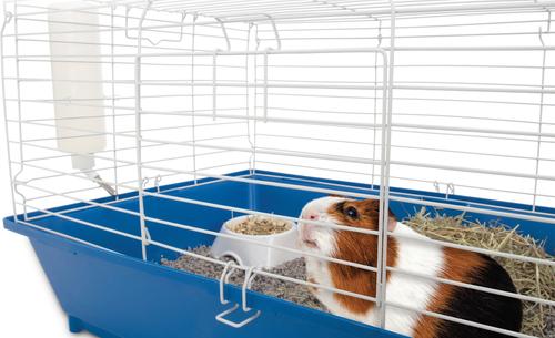 Show full view: Ware Home Sweet Home Sunseed Guinea Pig Starter Kit slide 2 of 10