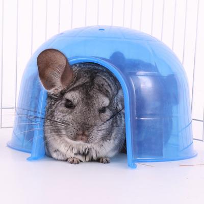 Show full view: Ware Pig Loo Small Animal Hideout, Large, Color Varies, 1 count slide 6 of 7