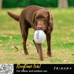 Warner Bros Central Perk Coffee Moderate Squeaky Dog Plush Toy, Multicolor slide 2 of 6