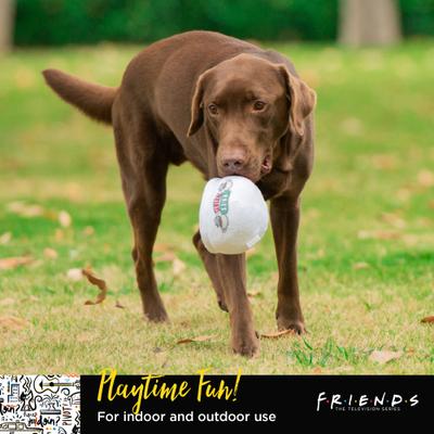 Show full view: Warner Bros Central Perk Coffee Moderate Squeaky Dog Plush Toy, Multicolor slide 6 of 6