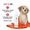 Show in main carousel: Warren London 10-in-1 Dog After Bath Leave-In Conditioning Spray, 4-fl oz slide 4 of 7