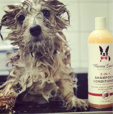 Show full view: Warren London 2-in-1 Coconut Scented Dog Shampoo + Conditioner, 17-fl oz bottle slide 5 of 6