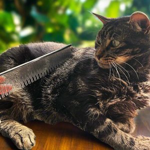 Warren London Carding Metal Dog & Cat Comb