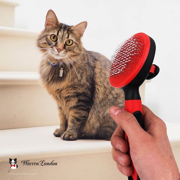 Warren London Cat Pin Brush