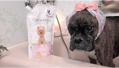 Show full view: Warren London Cleopatra's Full Body Treatment Dog Milk Bath, 12-fl oz pouch slide 6 of 7