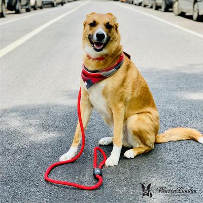 Show full view: Warren London Climbing Rope Dog Leash, 5-ft, Red slide 4 of 4