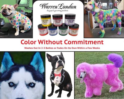 Show full view: Warren London Critter Color Temporary Pet Fur Coloring, 4-fl oz, Purple slide 5 of 10