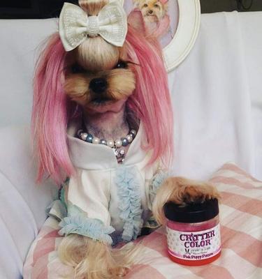 Show full view: Warren London Critter Color Temporary Pet Fur Coloring, 4-fl oz, Purple slide 6 of 10