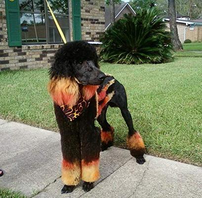 Show full view: Warren London Critter Color Temporary Pet Fur Coloring, 4-fl oz, Red slide 4 of 10