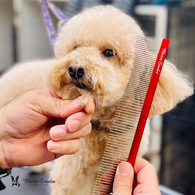 Show full view: Warren London Detangling Strong Dog Comb slide 4 of 9