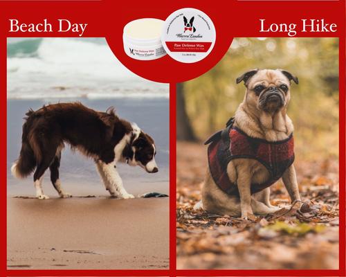 Show full view: Warren London Dog Paw Defense Wax, 2.1-fl oz jar slide 6 of 11